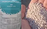 Нітроамофоска NPK 15:15:15+10S